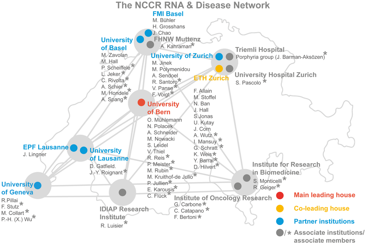 Our group as a member of the national NCCR initiative "RNA&Disease"