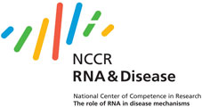 Enlarged view: Icon national NCCR initiative "RNA&Disease"